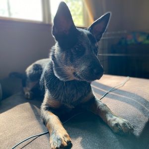 Meet your Posher, Cassandra